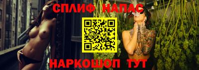 гидра Кингисепп