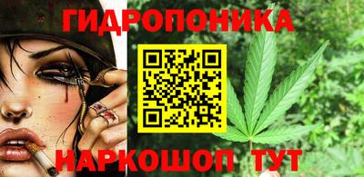 гидра Кингисепп