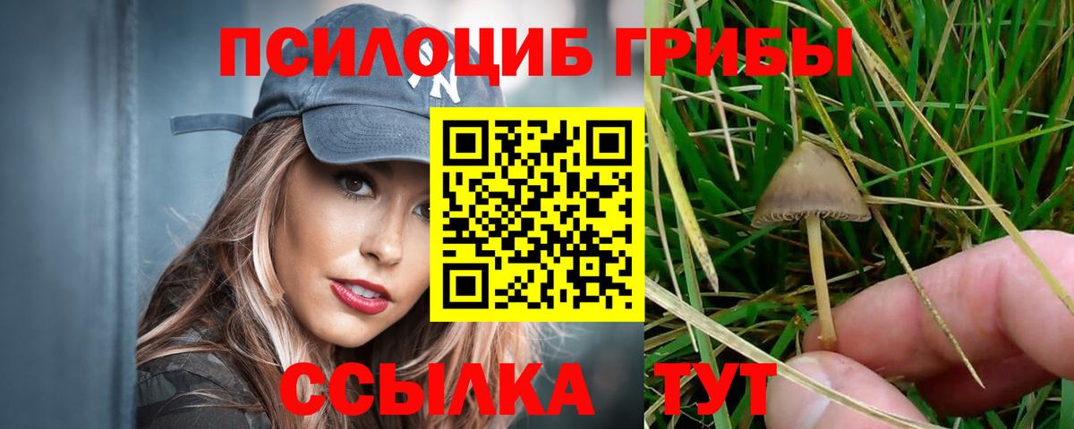 Псилоцибиновые грибы мухоморы  Вход с VPN  Кыштым 